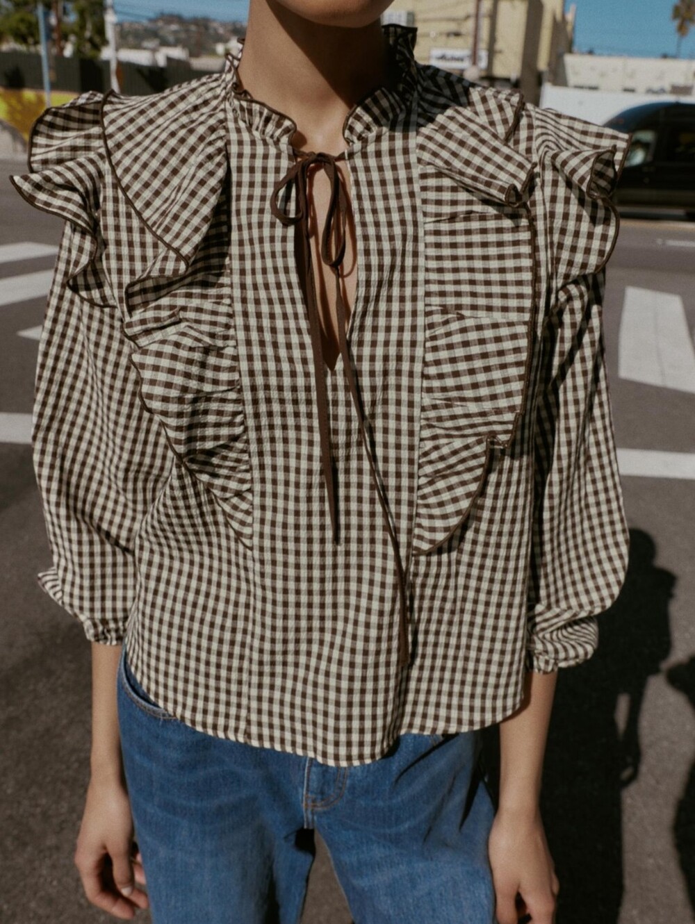 ZARA PLAID RUFFLED TIE BLOUSE